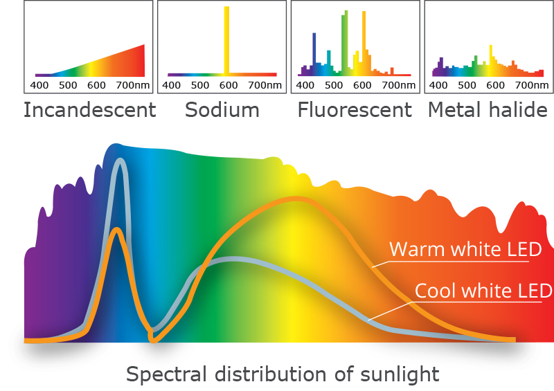 HCL Spectral distribution.jpg