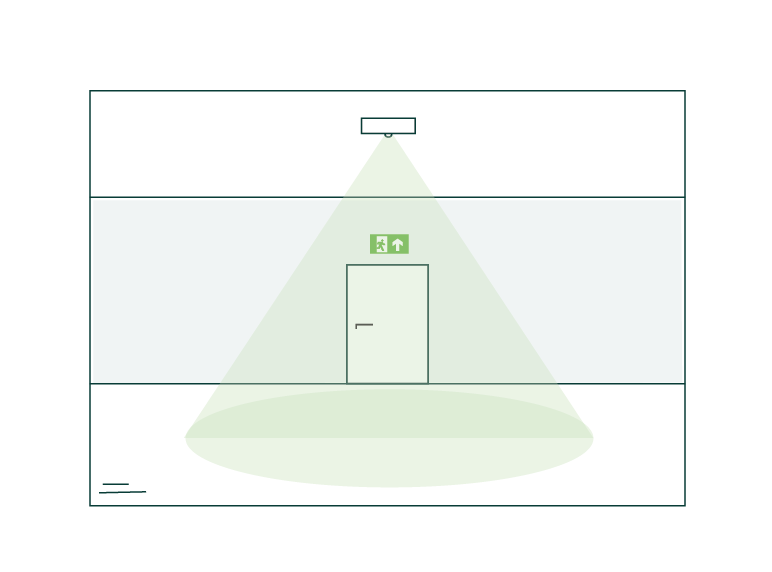 light distribution_WB.png