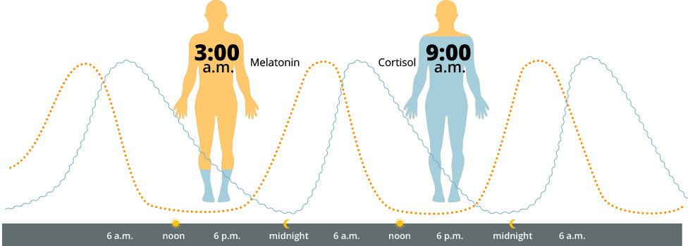 hcl_melatonin_cortisol.jpg